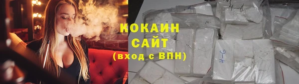 шишки Балабаново