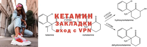 шишки Балабаново