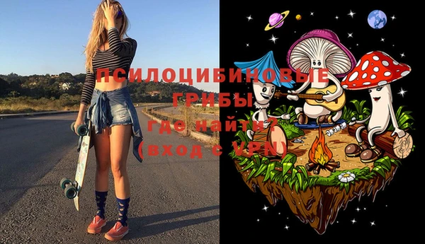 шишки Балабаново
