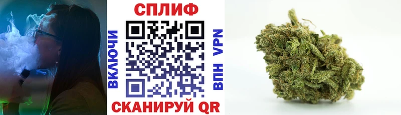 Канабис OG Kush  Городище 